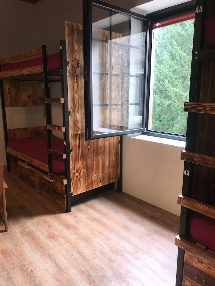 Turn Hostel Bunk Bed in 14-Bed Female Dormitory Room 9