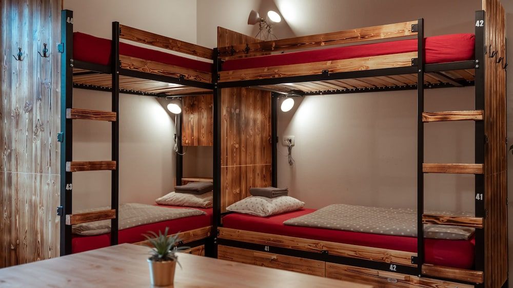 Turn Hostel Bunk Bed in 14-Bed Female Dormitory Room 3