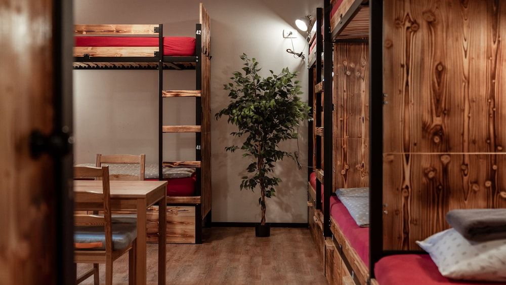 Turn Hostel Bunk Bed in 14-Bed Female Dormitory Room 10