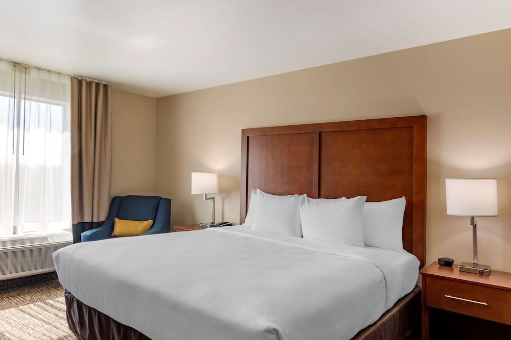 Room, 1 King Bed, Non Smoking
