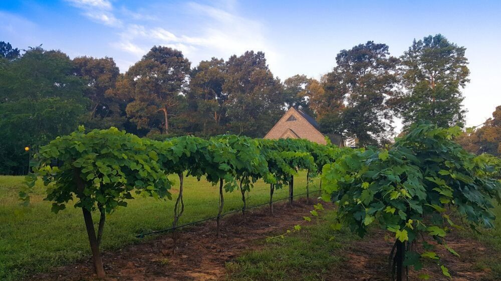 Kiepersol Bed and Breakfast Exclusive Suite 7