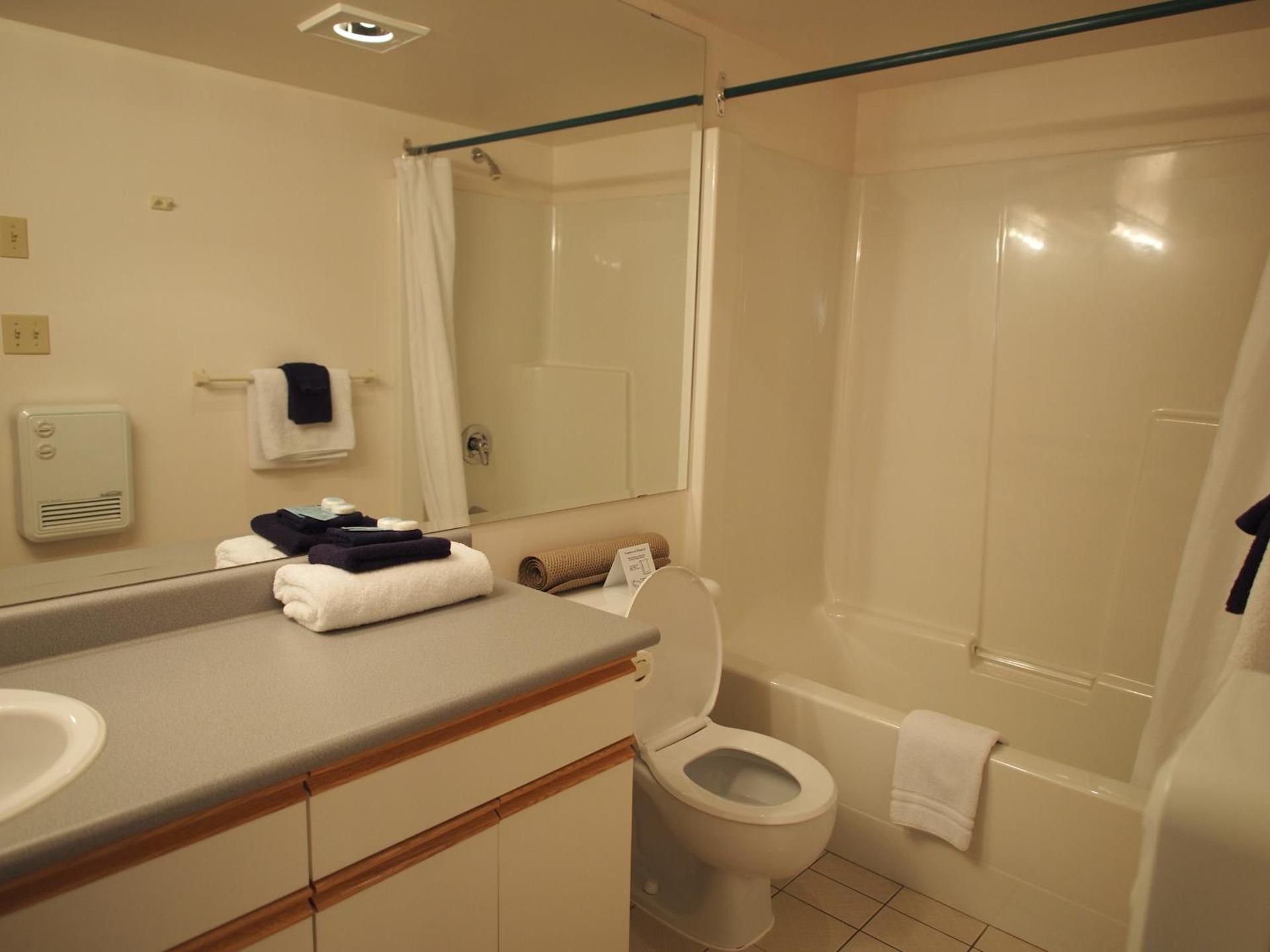 Deluxe One-Bedroom Suite