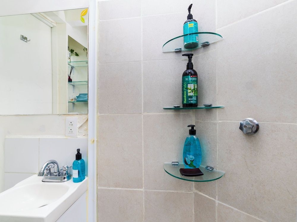 Casa Itzae B&B Polanquito Dog Friendly VERDE, PEQUEÑO BAÑO COMPARTIDO, NO PETS, NO WINDOWS 5