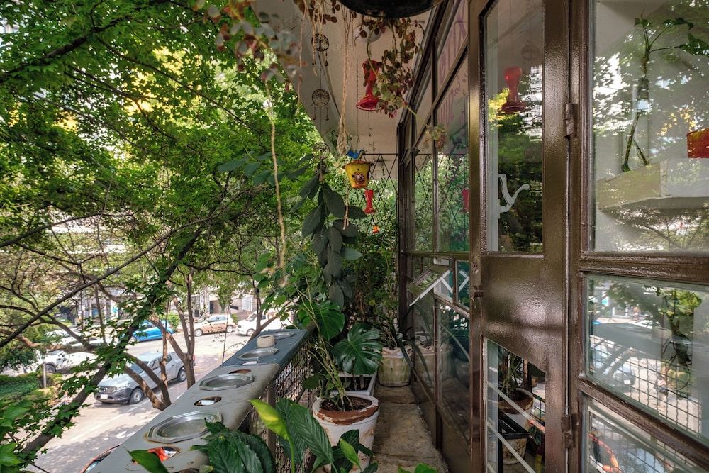 Casa Itzae B&B Polanquito Dog Friendly VERDE, PEQUEÑO BAÑO COMPARTIDO, NO PETS, NO WINDOWS 3