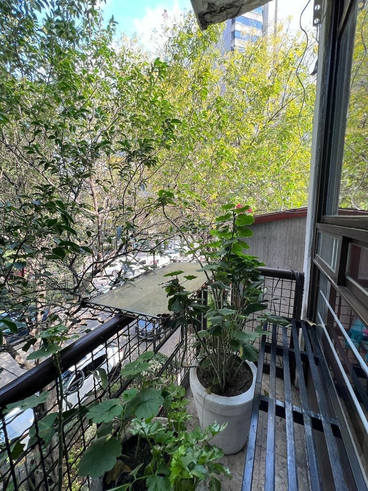 Casa Itzae B&B Polanquito Dog Friendly ALEGRIA, 3 PAX, PEQUEÑO BAÑO COMPARTIDO, NO PETS 13