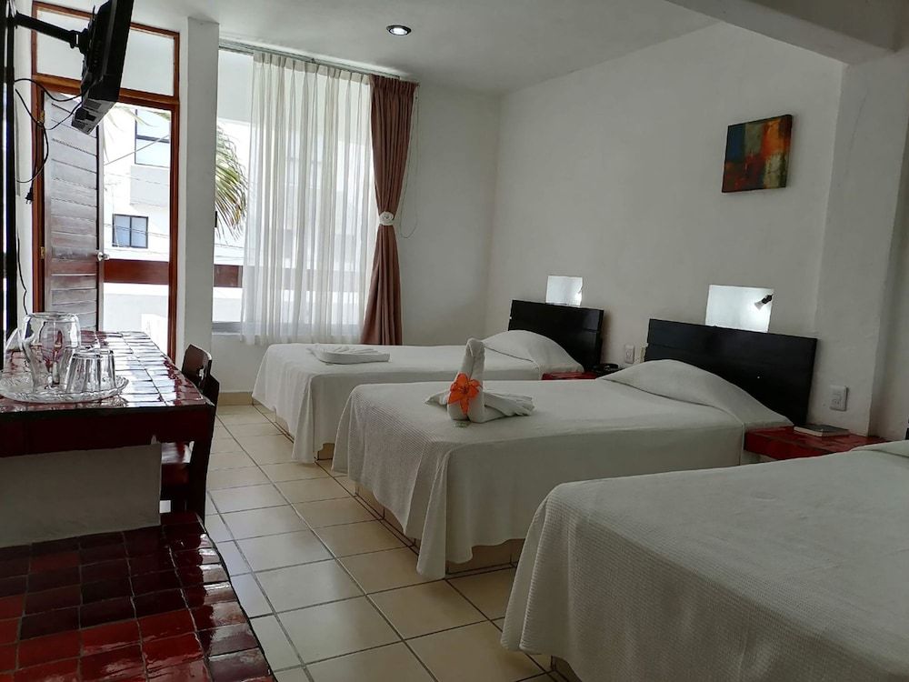 Hotel Plaza Carrillo's Standard Room 11