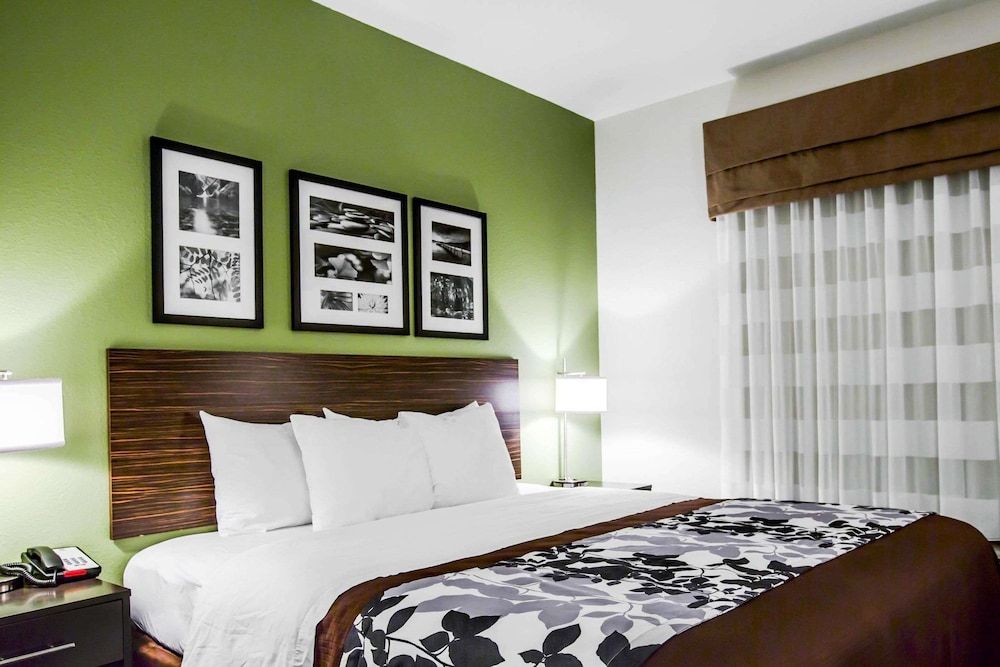 Standard Room, 1 King Bed with Sofa bed
