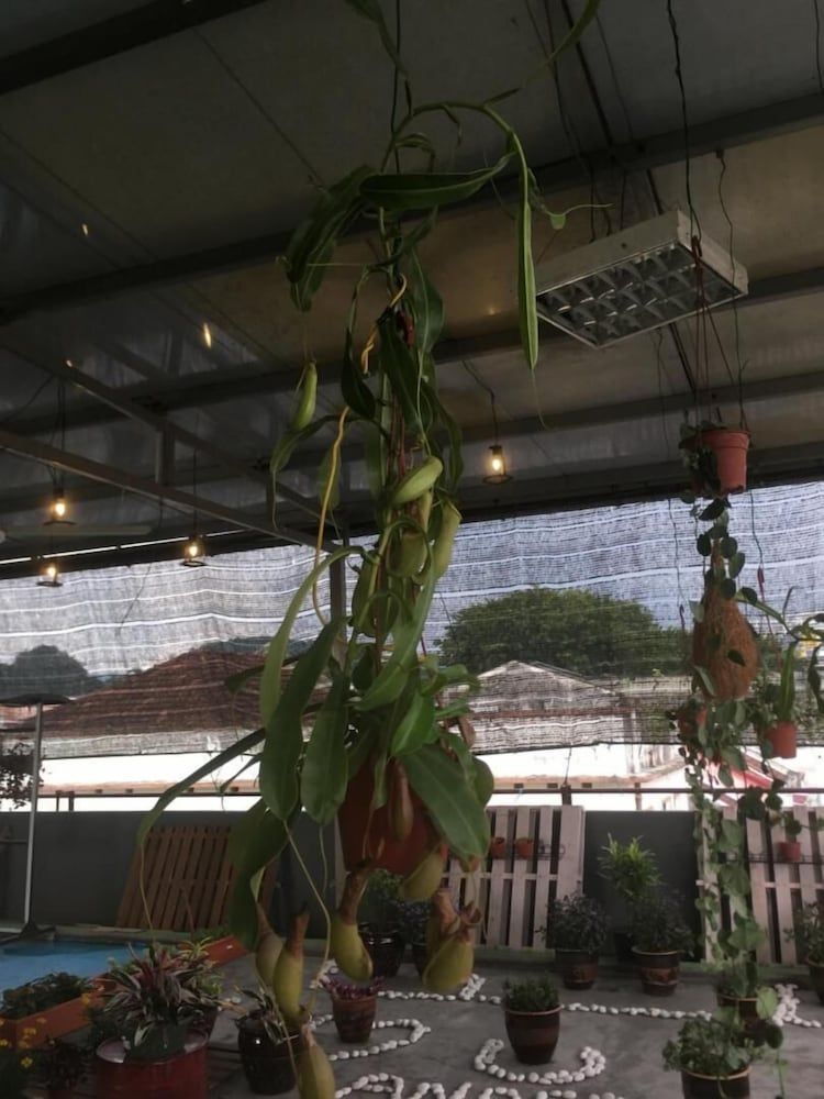 undefined Anderson Hotel 5