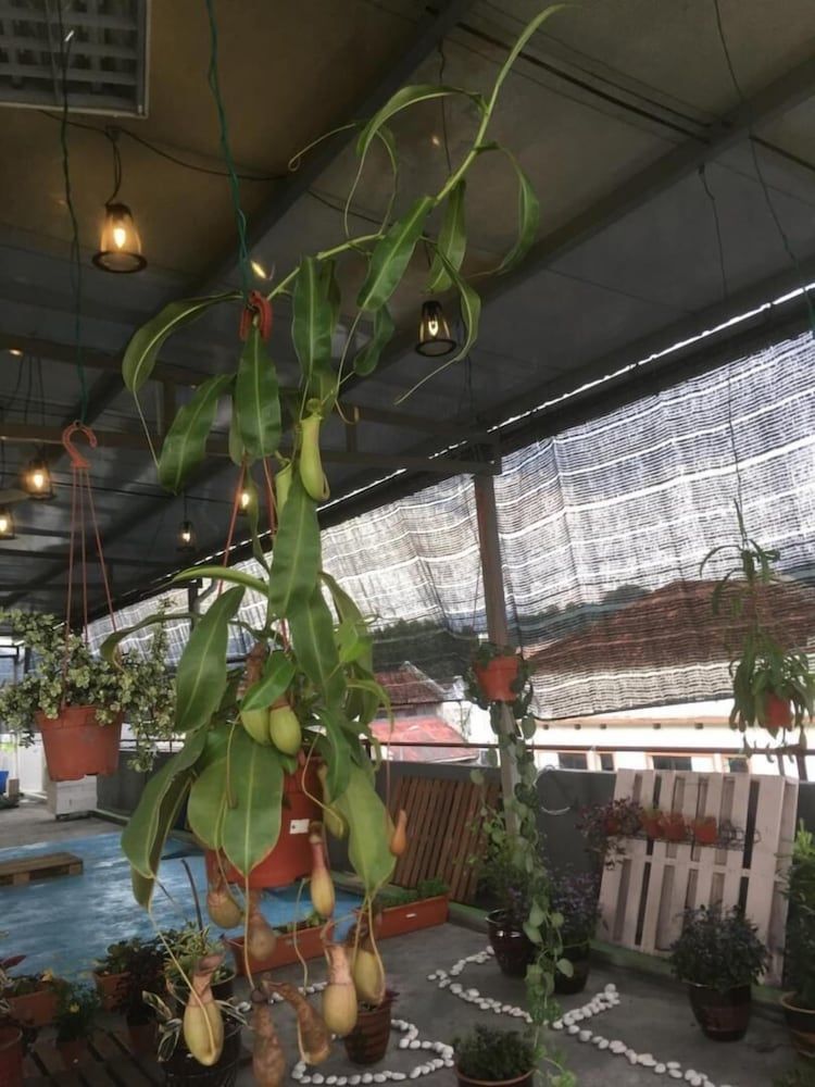 undefined Anderson Hotel 9