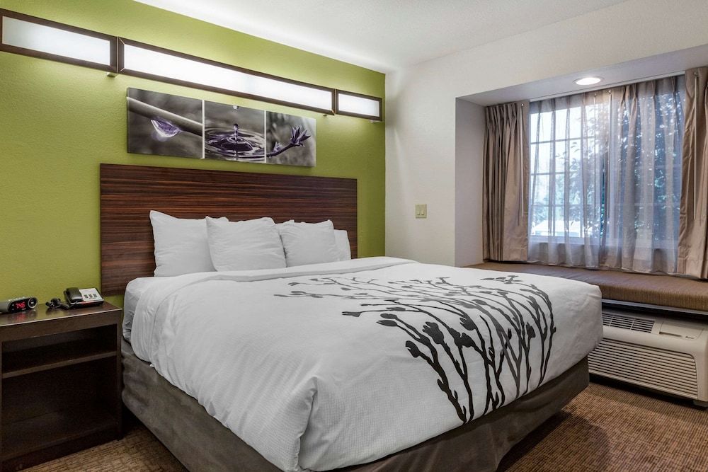 Standard Room, 1 King Bed, Non Smoking