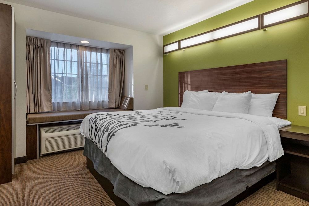 Suite, 1 King Bed with Sofa bed, Non Smoking (Efficiency, Upgrade)