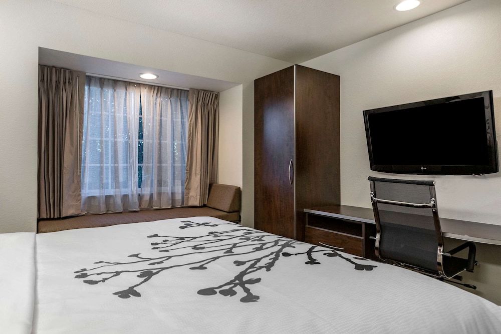 Standard Room, 1 King Bed, Non Smoking