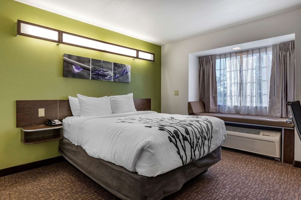 Room, 1 Queen Bed, Accessible, Non Smoking (Roll-In Shower)
