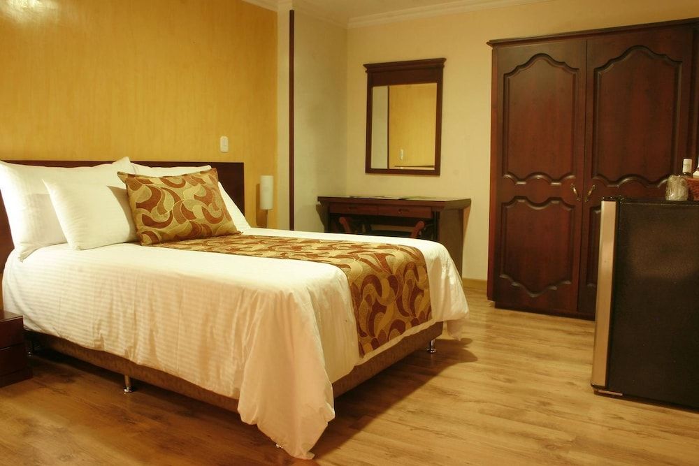 Hotel Luxor Plaza Pereira Double Room 5