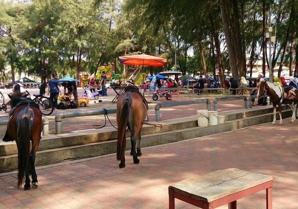 Children's activities