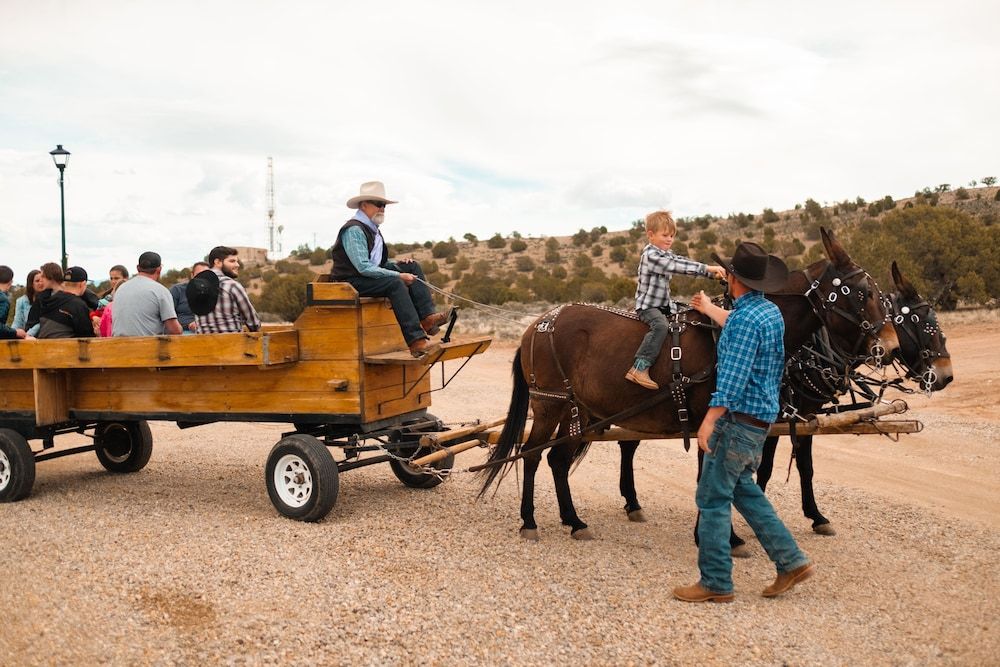 Horse Riding