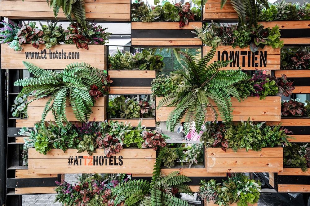 undefined T2 Jomtien Pattaya 5