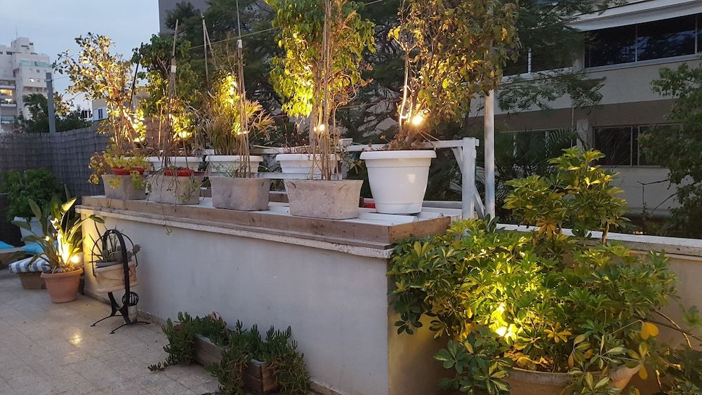 undefined INDIGO TLV