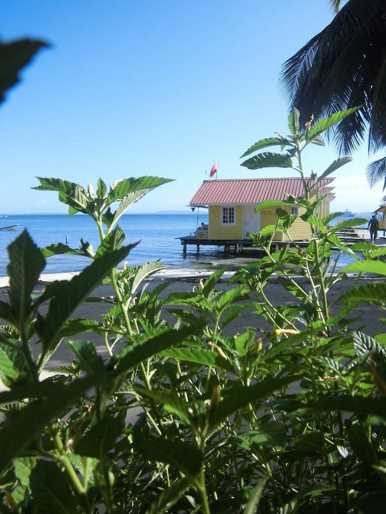 Kevin Condos Apartment, 1 Bedroom 5