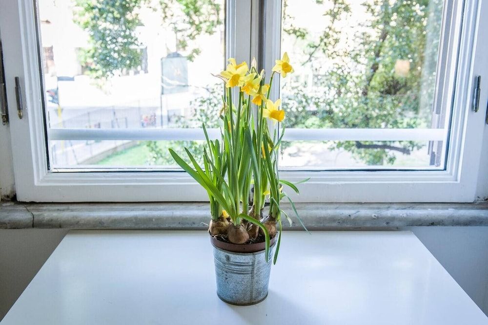 undefined Flatinrome Termini 2 6