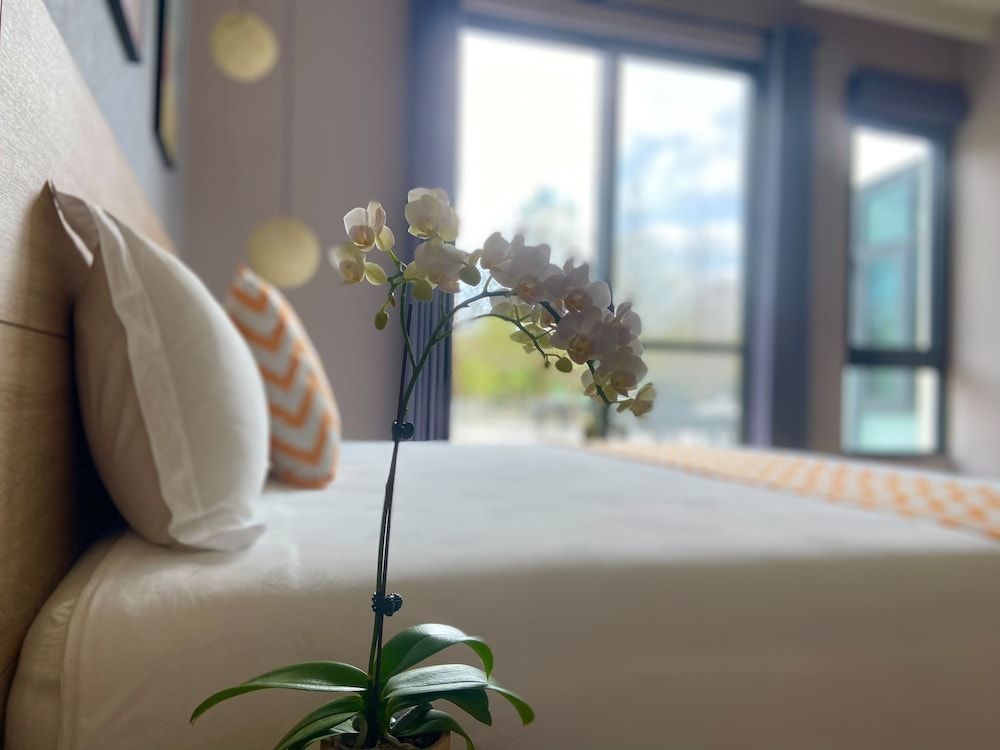 Follow the Cloud B&B Comfort Double Room, 1 Queen Bed, Non Smoking, Courtyard View 4