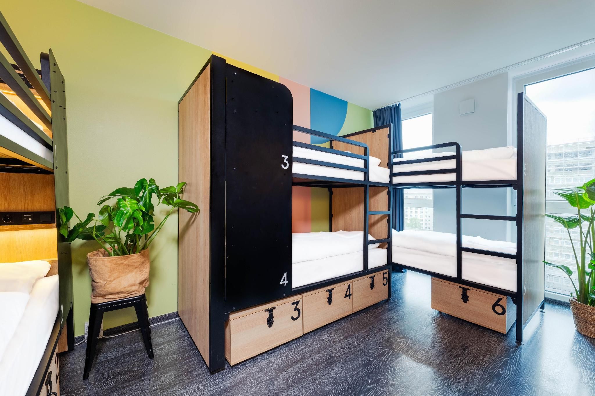 Bed in 6-Bed Dormitory Room