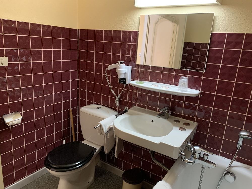 Citotel Les Vosges Double Room 5