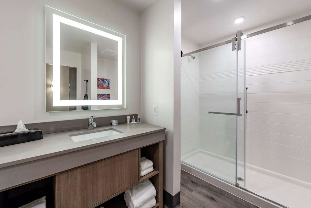Suite, 1 King Bed, Non Smoking (Pet-Friendly)