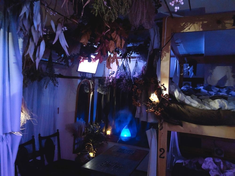 Top Edge Hostel Shared Dormitory, Women only (2nd Floor) 5