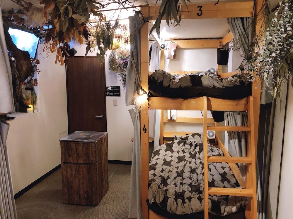 Top Edge Hostel Shared Dormitory, Women only (2nd Floor) 6