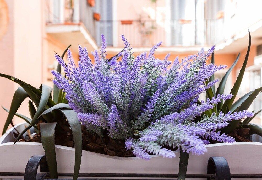 Pantheon Luxury Gold Apartment House, 2 Bedrooms 22