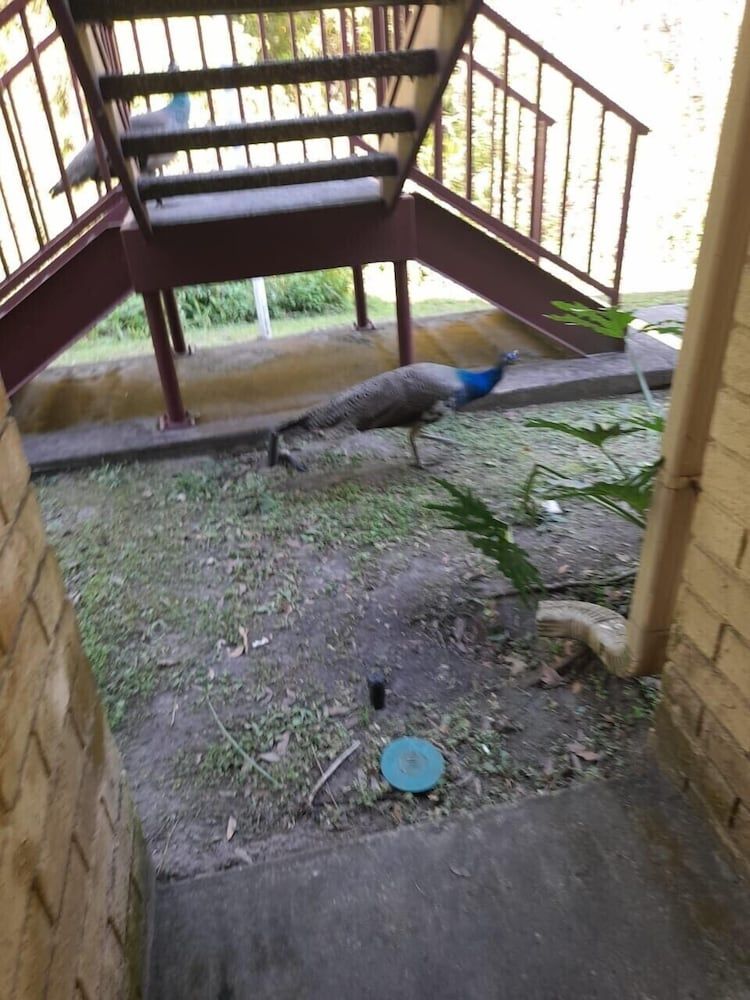 undefined The Tropical Oaks Villa - Near Disney 9