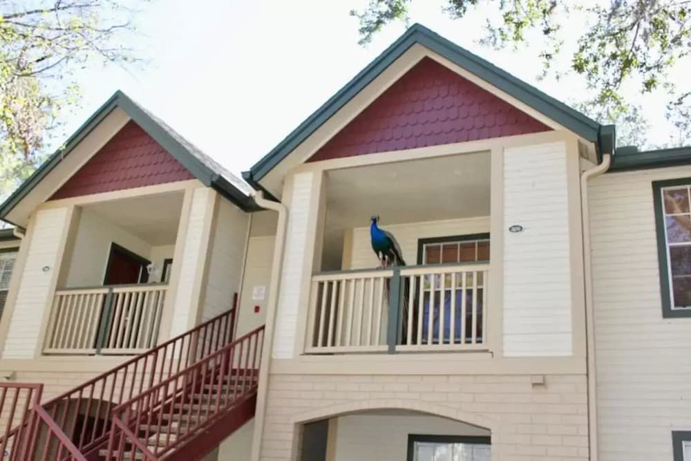 undefined The Tropical Oaks Villa - Near Disney 4