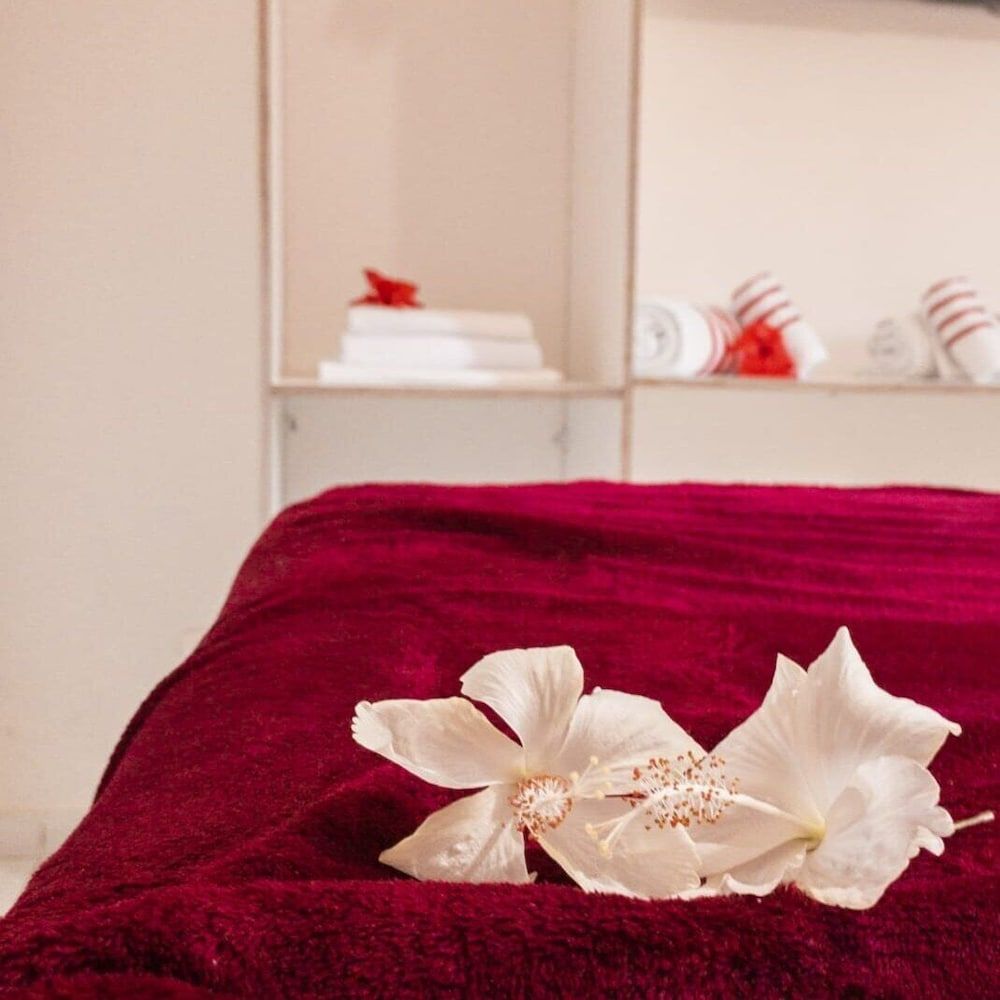 Pousada Primavera Double Room 4