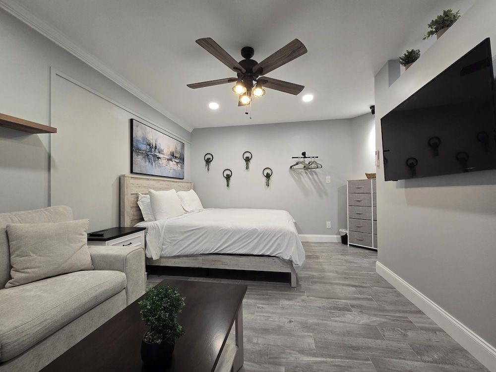 Sunny Palms Inn Luxury Single Room, 1 King Bed with Sofa bed, Pool View 2