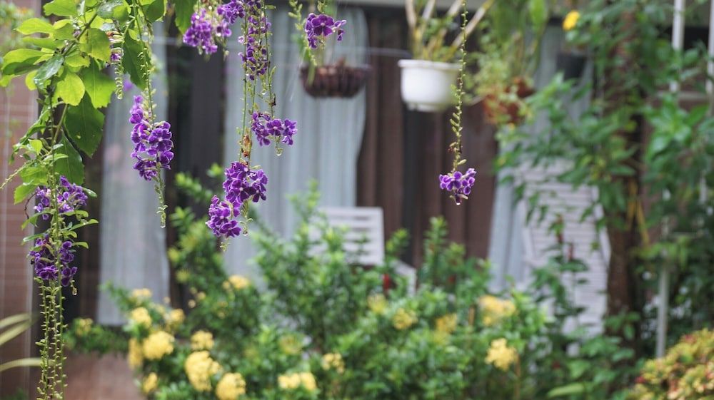 Canary Bungalow Standard Triple Room, Garden View 11