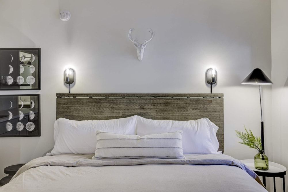 Luxury Studio, 1 King Bed (Unit 7)