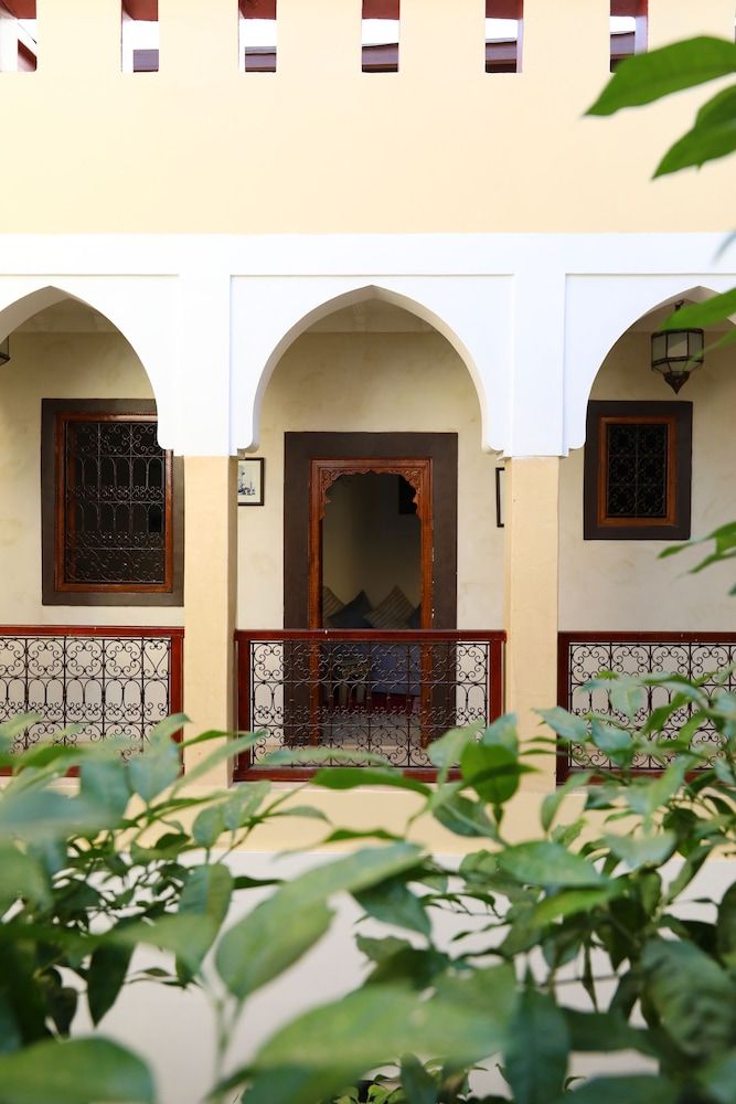 undefined Riad Sidi Mimoune 4