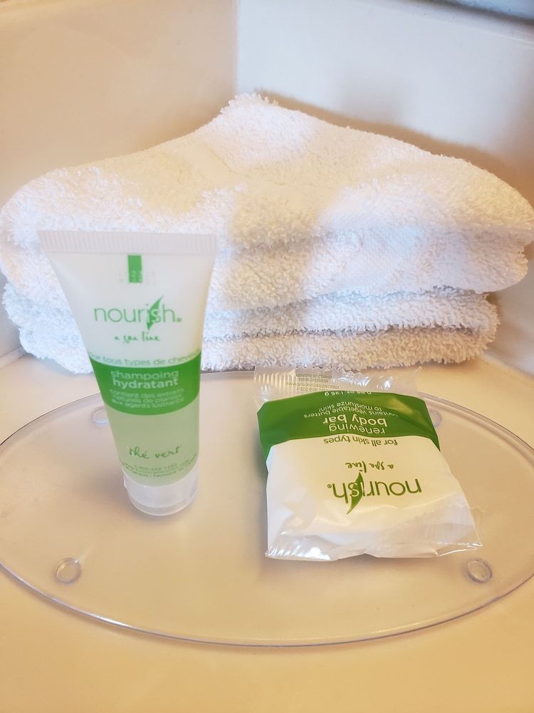 SkyView Swift Current Classic Single Room, 1 Queen Bed, Non Smoking 5