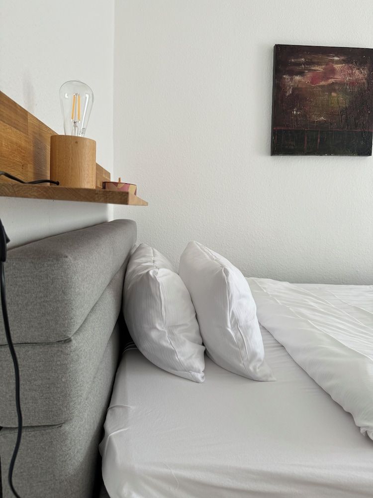 Hotel Alte Mühle Deluxe Single Room 6