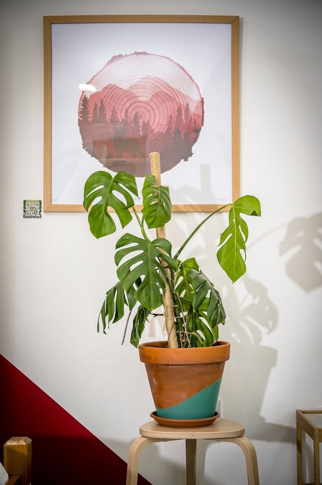 Loch Ness Bunk Inn Family Room (Five) 7