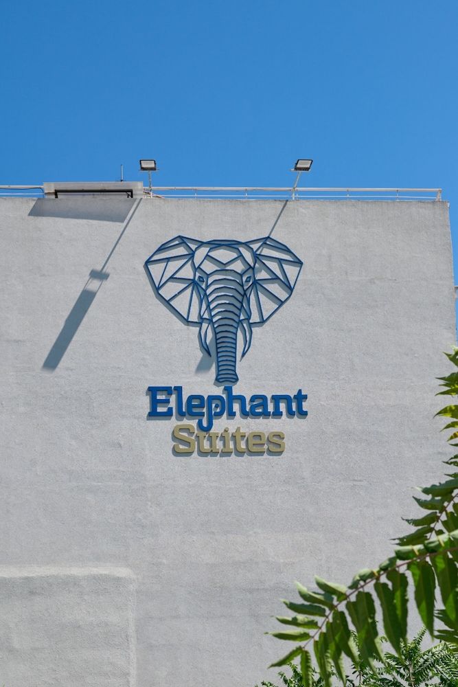undefined Elephant Suites 4