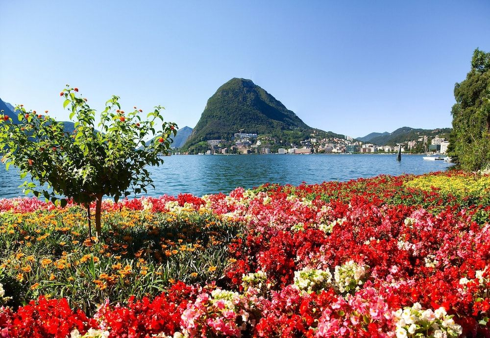 undefined Panoramic Penthouse 2