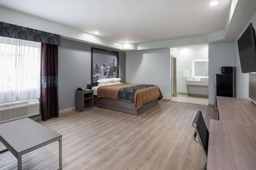 Room, 1 King Bed