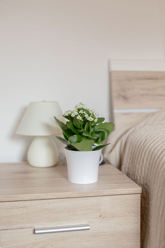 Apartments Valant Comfort Apartment, Garden View 14