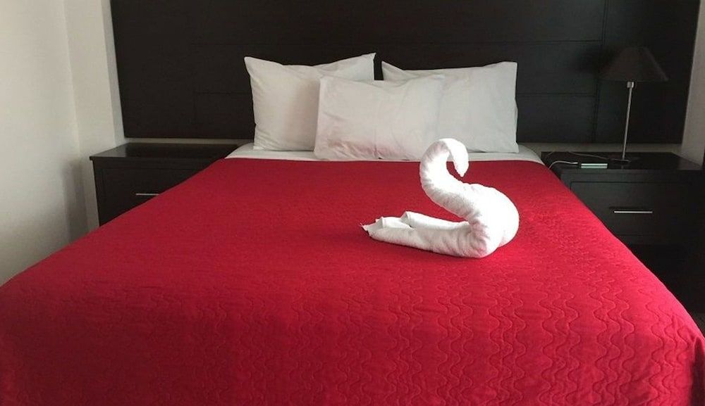 undefined Hotel Villa Florencia Zona Rosa 4