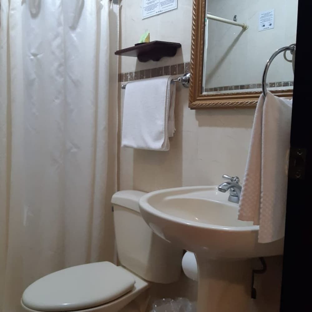 undefined Hotel Villa Florencia Zona Rosa 9