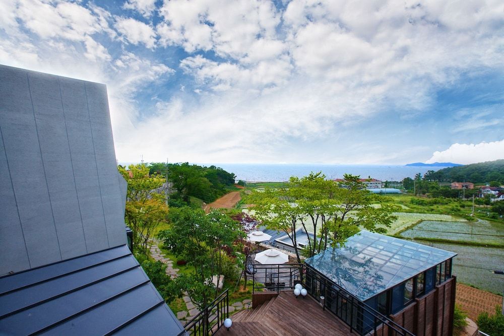 Healing 11st Pension Chamomile 9