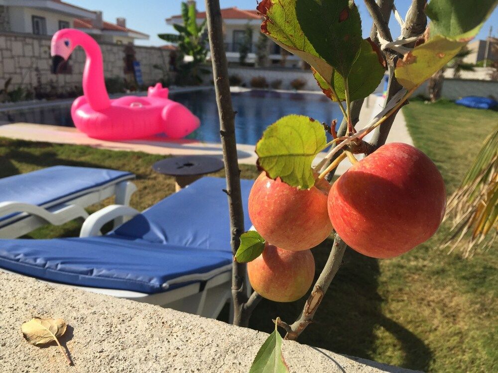 undefined My Vera Alacati Butik Otel 8