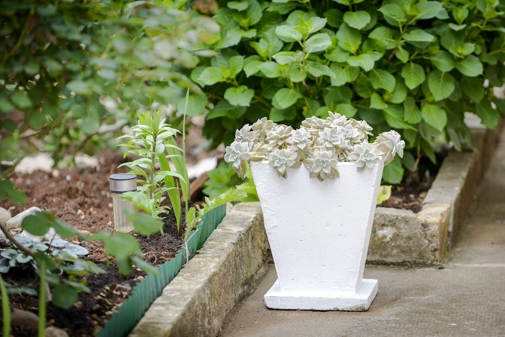 undefined Apartment Matic 3